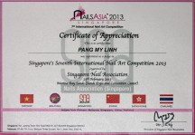Certificate of Artfair international Make Up 2008