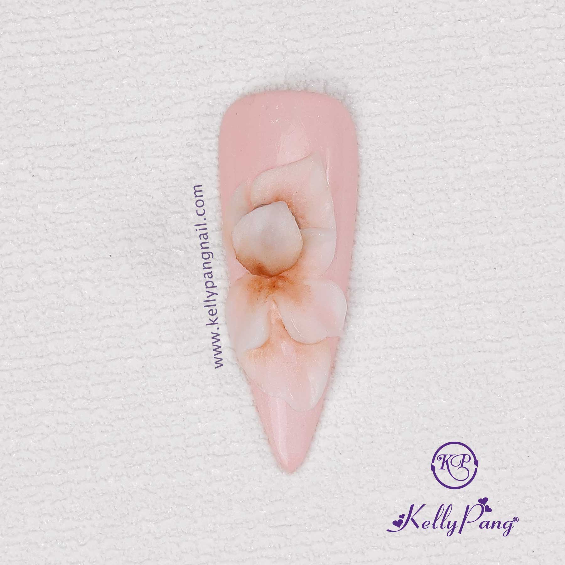 nail-b6